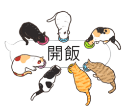 bobble cat message talk 3 sticker #11007024