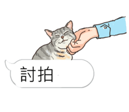 bobble cat message talk 3 sticker #11007027