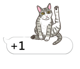 bobble cat message talk 3 sticker #11007031