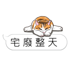 bobble cat message talk 3 sticker #11007034
