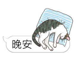 bobble cat message talk 3 sticker #11007041