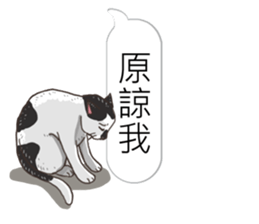 bobble cat message talk 3 sticker #11007043