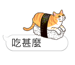 bobble cat message talk 3 sticker #11007058