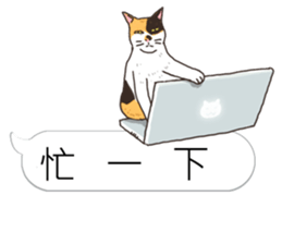 bobble cat message talk 3 sticker #11007060