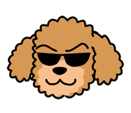 Cute! Poodle Stickers 2 sticker #11008650