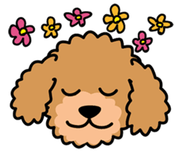 Cute! Poodle Stickers 2 sticker #11008658
