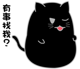 My life is black and white cat2 sticker #11009595