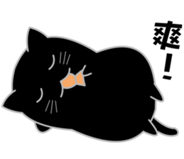 My life is black and white cat2 sticker #11009596