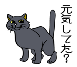 Cat walking. sticker #11009784