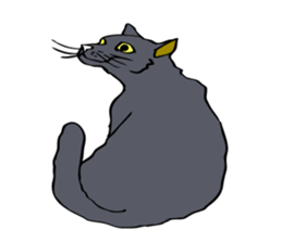 Cat walking. sticker #11009804