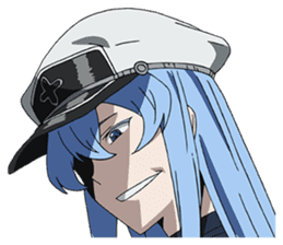 Akame ga Kill! sticker #11012979