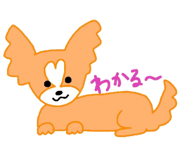 Happy dog's sticker sticker #11013352