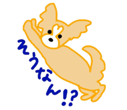 Happy dog's sticker sticker #11013356