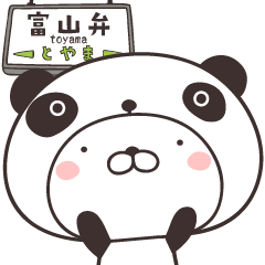 cute rabbit in panda -toyama-