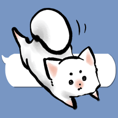 Sumi dog Family conversation