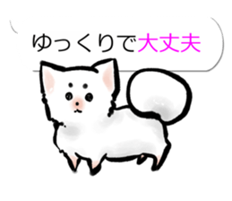 Sumi dog Family conversation sticker #11016252