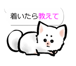 Sumi dog Family conversation sticker #11016254