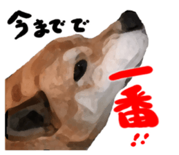 Sticker Shibainu(vol5) sticker #11017276