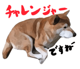 Sticker Shibainu(vol5) sticker #11017285