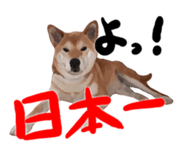 Sticker Shibainu(vol5) sticker #11017302