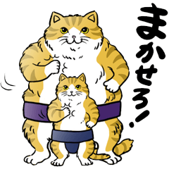 Cat Sumo Wrestlers