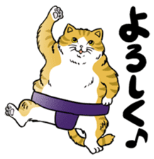 Cat Sumo Wrestlers sticker #11017305