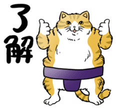 Cat Sumo Wrestlers sticker #11017311
