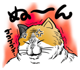 Cat Sumo Wrestlers sticker #11017315