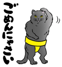 Cat Sumo Wrestlers sticker #11017319
