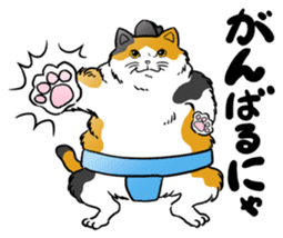 Cat Sumo Wrestlers sticker #11017320