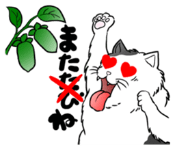 Cat Sumo Wrestlers sticker #11017322
