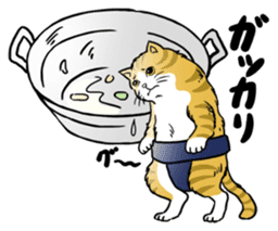 Cat Sumo Wrestlers sticker #11017324