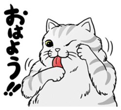 Cat Sumo Wrestlers sticker #11017327