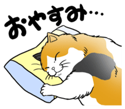 Cat Sumo Wrestlers sticker #11017328