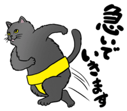 Cat Sumo Wrestlers sticker #11017333
