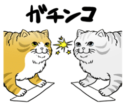 Cat Sumo Wrestlers sticker #11017335