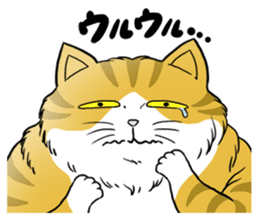 Cat Sumo Wrestlers sticker #11017336