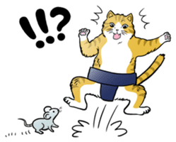 Cat Sumo Wrestlers sticker #11017338