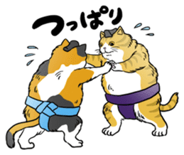 Cat Sumo Wrestlers sticker #11017343