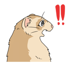 sticker of ferret sticker #11019522