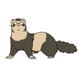 sticker of ferret sticker #11019527
