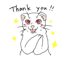 sticker of ferret sticker #11019531
