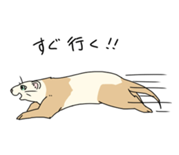 sticker of ferret sticker #11019532