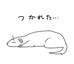 sticker of ferret sticker #11019536