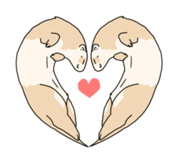 sticker of ferret sticker #11019546