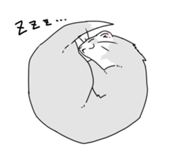 sticker of ferret sticker #11019547