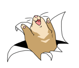 sticker of ferret sticker #11019550