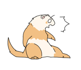 sticker of ferret sticker #11019553