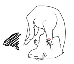 sticker of ferret sticker #11019555