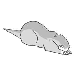 sticker of ferret sticker #11019556